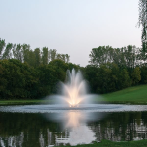 Decorative Spray or Bottom Diffusion? Where Kasco Fountains Fit